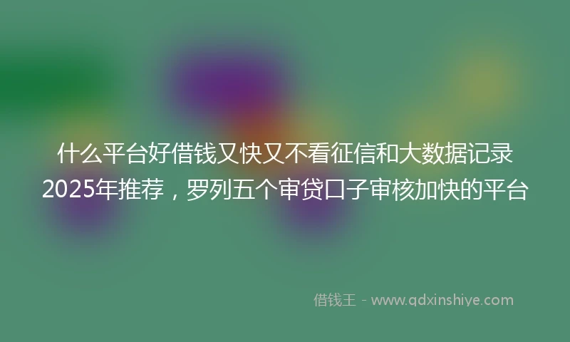 什么平台好借钱又快又不看征信和大数据记录2025年推荐，罗列五个审贷口子审核加快的平台