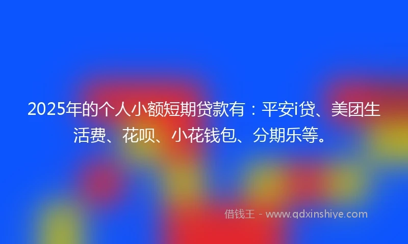 2025年的个人小额短期贷款有：平安i贷、美团生活费、花呗、小花钱包、分期乐等。