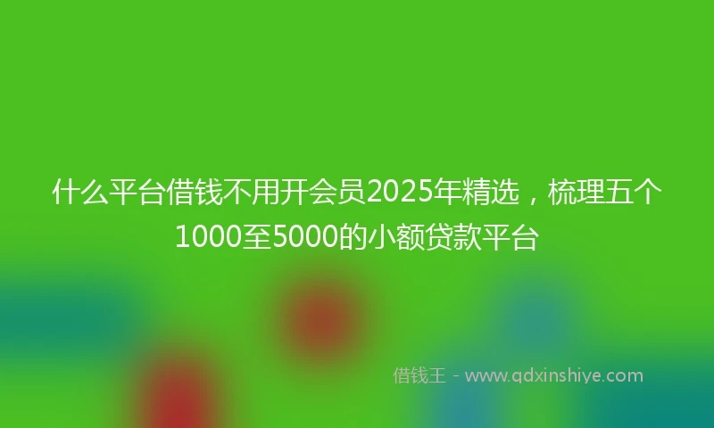 什么平台借钱不用开会员2025年精选，梳理五个1000至5000的小额贷款平台