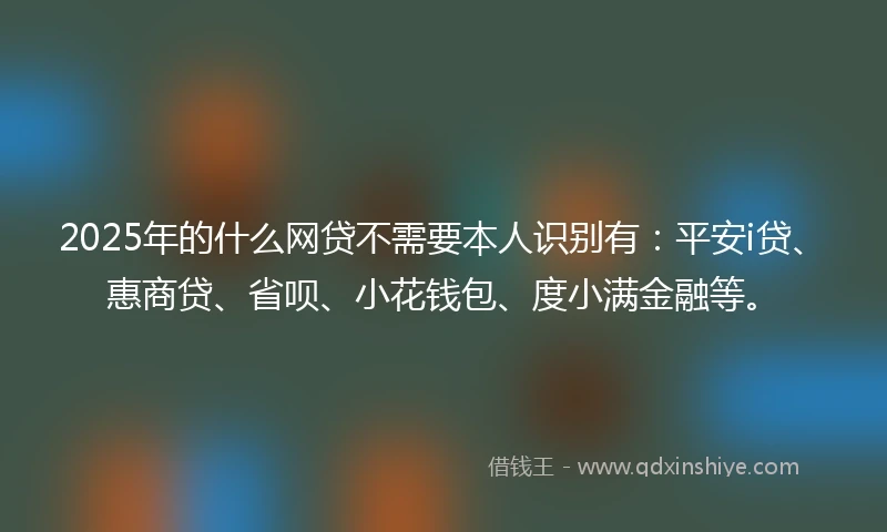 2025年的什么网贷不需要本人识别有：平安i贷、惠商贷、省呗、小花钱包、度小满金融等。