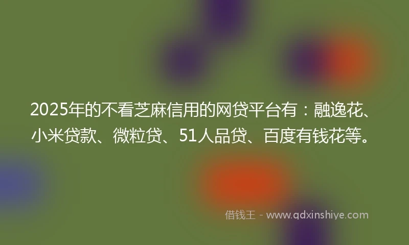 2025年的不看芝麻信用的网贷平台有：融逸花、小米贷款、微粒贷、51人品贷、百度有钱花等。