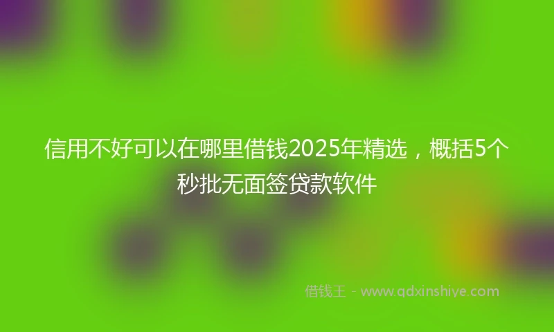 信用不好可以在哪里借钱2025年精选，概括5个秒批无面签贷款软件