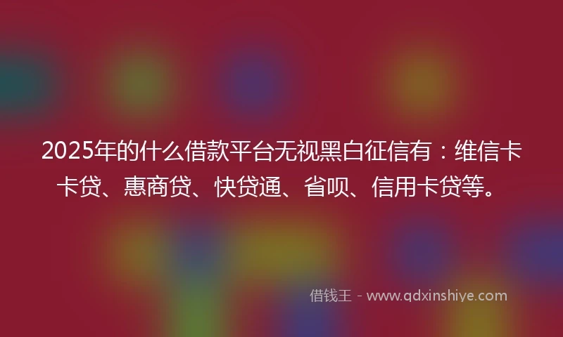 2025年的什么借款平台无视黑白征信有：维信卡卡贷、惠商贷、快贷通、省呗、信用卡贷等。