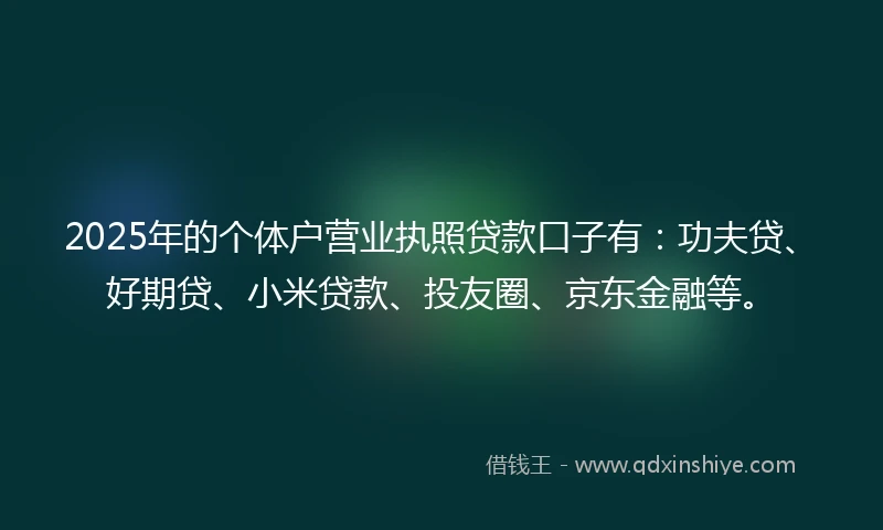 2025年的个体户营业执照贷款口子有：功夫贷、好期贷、小米贷款、投友圈、京东金融等。