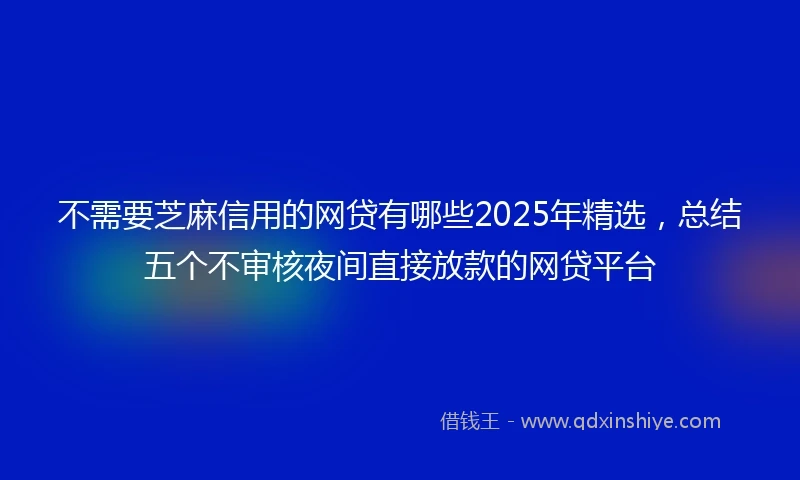 不需要芝麻信用的网贷有哪些2025年精选，总结五个不审核夜间直接放款的网贷平台