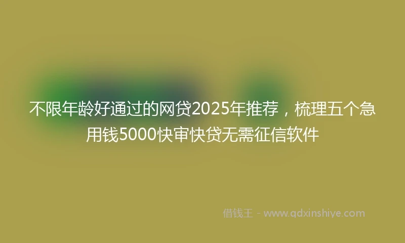 不限年龄好通过的网贷2025年推荐，梳理五个急用钱5000快审快贷无需征信软件