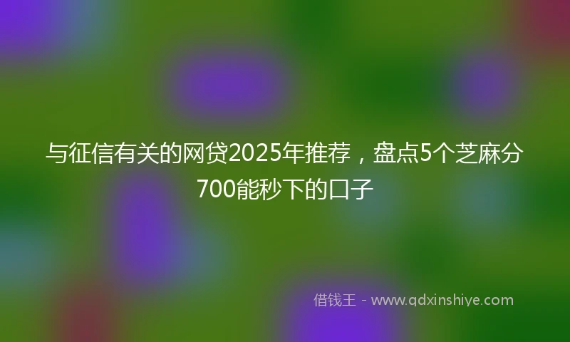 与征信有关的网贷2025年推荐，盘点5个芝麻分700能秒下的口子