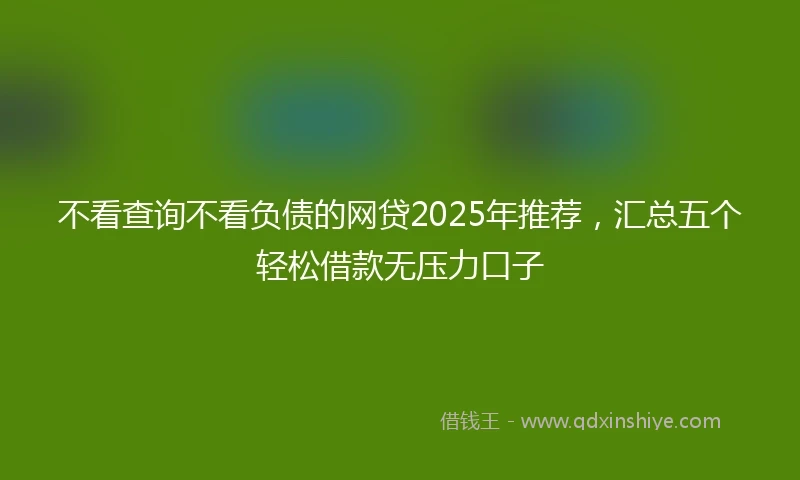 不看查询不看负债的网贷2025年推荐，汇总五个轻松借款无压力口子