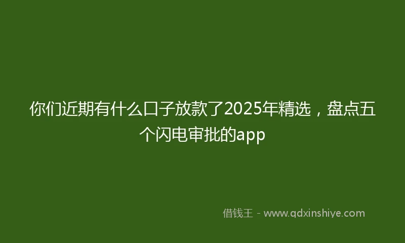 你们近期有什么口子放款了2025年精选，盘点五个闪电审批的app