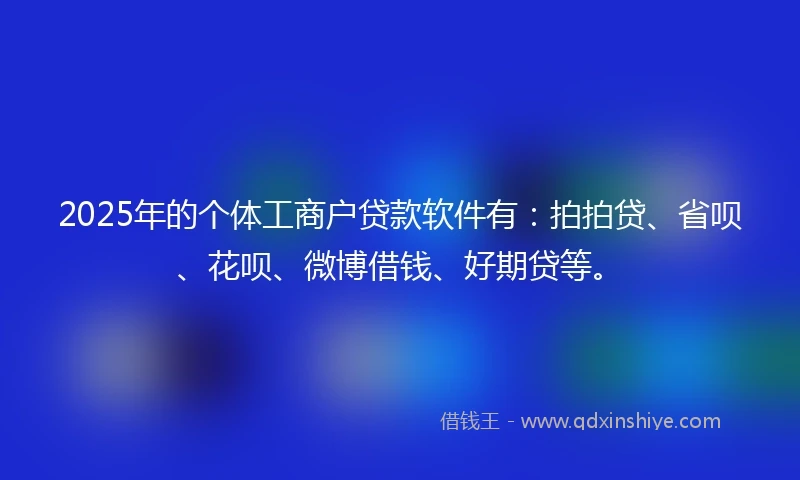 2025年的个体工商户贷款软件有：拍拍贷、省呗、花呗、微博借钱、好期贷等。