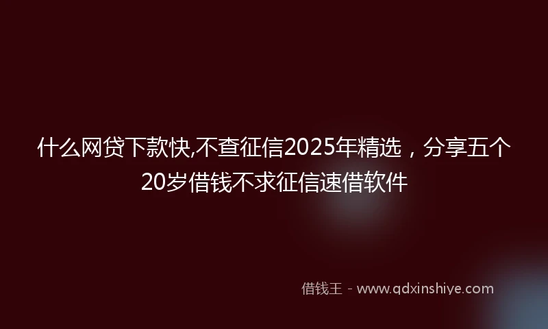 什么网贷下款快,不查征信2025年精选，分享五个20岁借钱不求征信速借软件