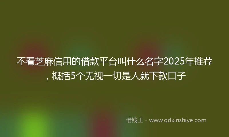 不看芝麻信用的借款平台叫什么名字2025年推荐，概括5个无视一切是人就下款口子