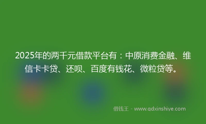 2025年的两千元借款平台有：中原消费金融、维信卡卡贷、还呗、百度有钱花、微粒贷等。