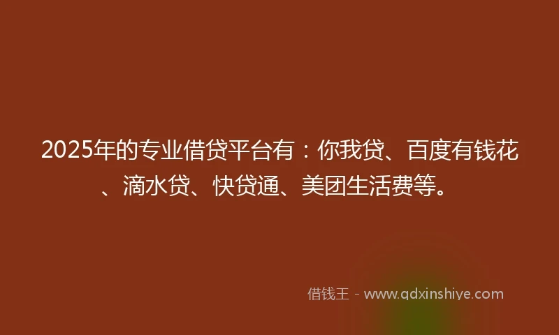 2025年的专业借贷平台有：你我贷、百度有钱花、滴水贷、快贷通、美团生活费等。