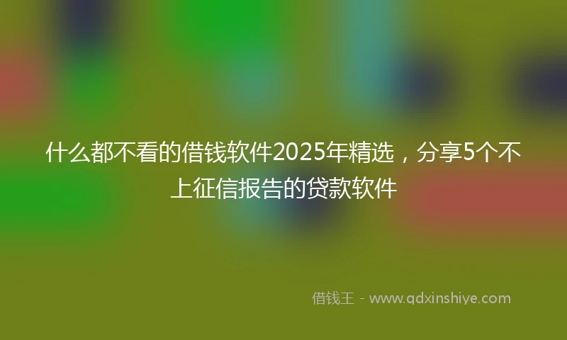 什么都不看的借钱软件2025年精选，分享5个不上征信报告的贷款软件