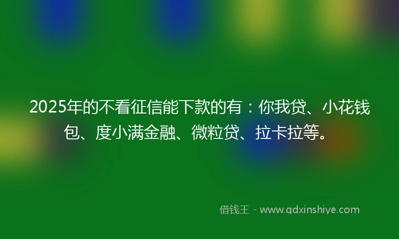 2025年的不看征信能下款的有：你我贷、小花钱包、度小满金融、微粒贷、拉卡拉等。