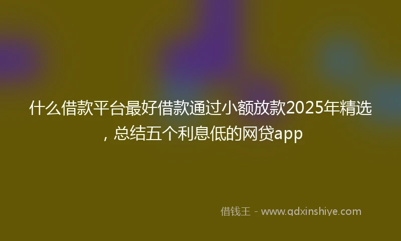什么借款平台最好借款通过小额放款2025年精选，总结五个利息低的网贷app