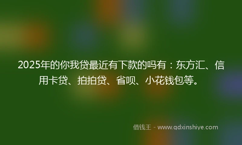 2025年的你我贷最近有下款的吗有：东方汇、信用卡贷、拍拍贷、省呗、小花钱包等。