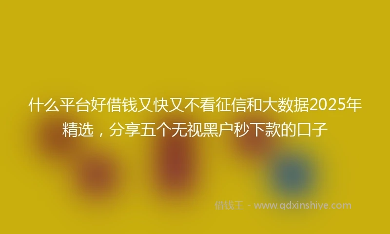 什么平台好借钱又快又不看征信和大数据2025年精选，分享五个无视黑户秒下款的口子
