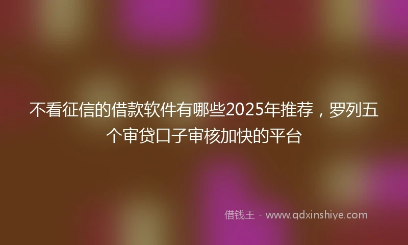 不看征信的借款软件有哪些2025年推荐，罗列五个审贷口子审核加快的平台