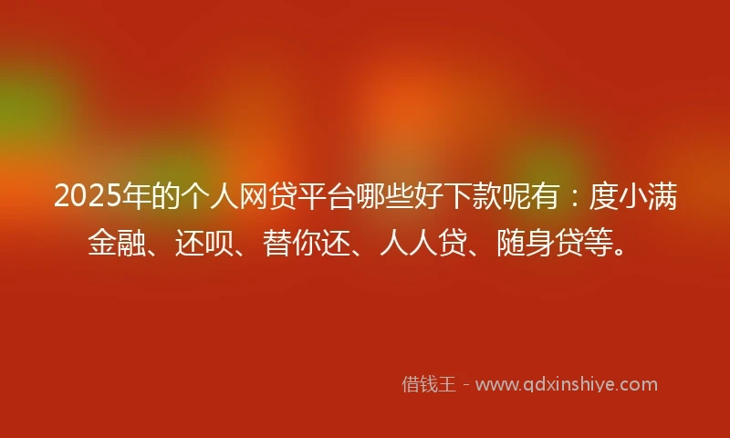 2025年的个人网贷平台哪些好下款呢有：度小满金融、还呗、替你还、人人贷、随身贷等。