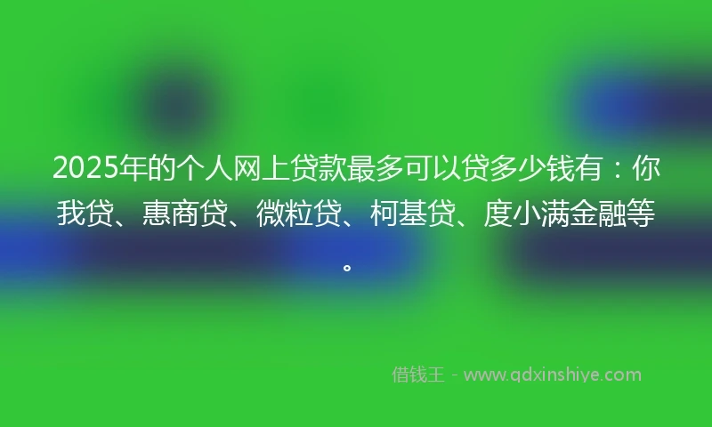 2025年的个人网上贷款最多可以贷多少钱有：你我贷、惠商贷、微粒贷、柯基贷、度小满金融等。