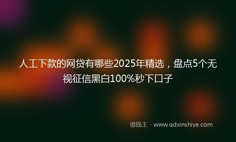人工下款的网贷有哪些2025年精选，盘点5个无视征信黑白100%秒下口子