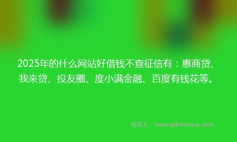 2025年的什么网站好借钱不查征信有：惠商贷、我来贷、投友圈、度小满金融、百度有钱花等。