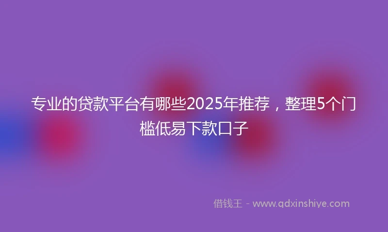 专业的贷款平台有哪些2025年推荐，整理5个门槛低易下款口子