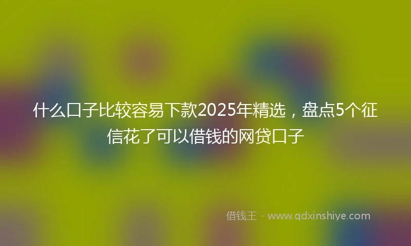 什么口子比较容易下款2025年精选，盘点5个征信花了可以借钱的网贷口子