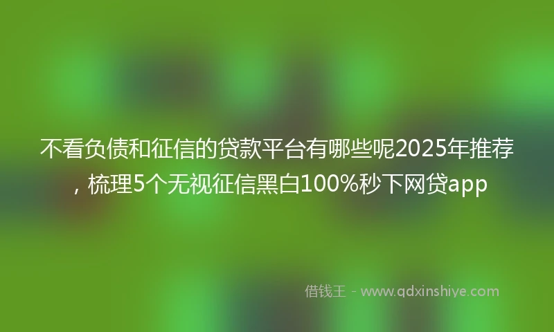 不看负债和征信的贷款平台有哪些呢2025年推荐，梳理5个无视征信黑白100%秒下网贷app