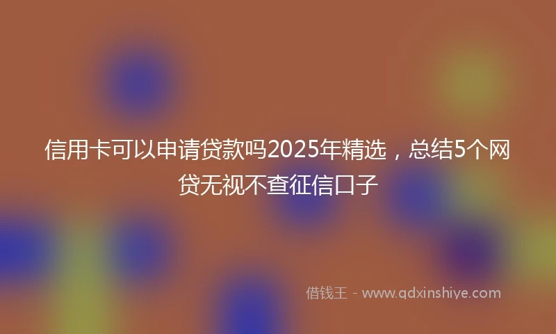 信用卡可以申请贷款吗2025年精选，总结5个网贷无视不查征信口子