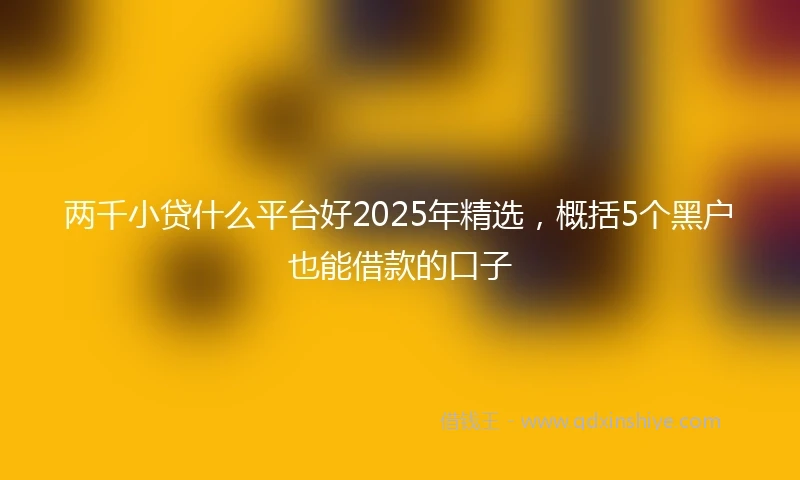 两千小贷什么平台好2025年精选，概括5个黑户也能借款的口子