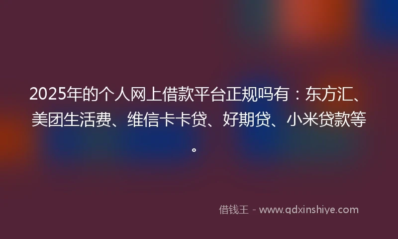 2025年的个人网上借款平台正规吗有：东方汇、美团生活费、维信卡卡贷、好期贷、小米贷款等。