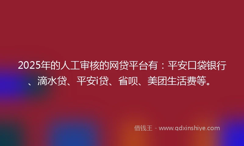 2025年的人工审核的网贷平台有：平安口袋银行、滴水贷、平安i贷、省呗、美团生活费等。