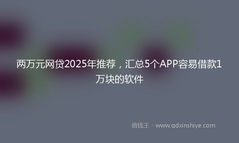 两万元网贷2025年推荐，汇总5个APP容易借款1万块的软件