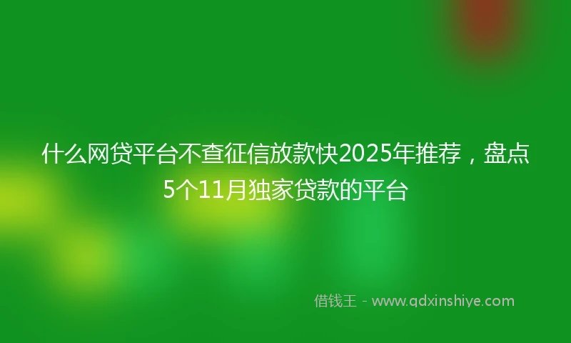 什么网贷平台不查征信放款快2025年推荐，盘点5个11月独家贷款的平台