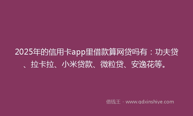 2025年的信用卡app里借款算网贷吗有：功夫贷、拉卡拉、小米贷款、微粒贷、安逸花等。