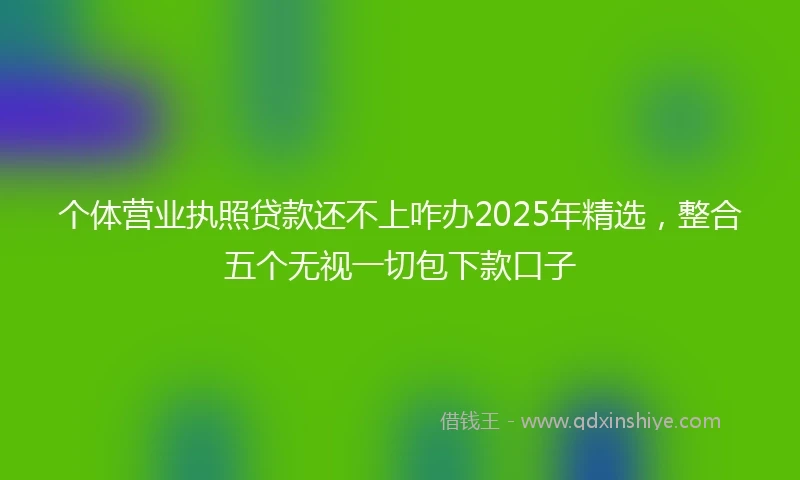 个体营业执照贷款还不上咋办2025年精选，整合五个无视一切包下款口子