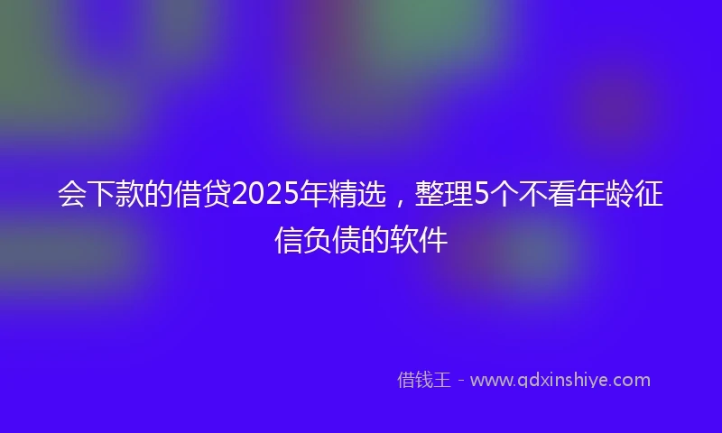 会下款的借贷2025年精选，整理5个不看年龄征信负债的软件