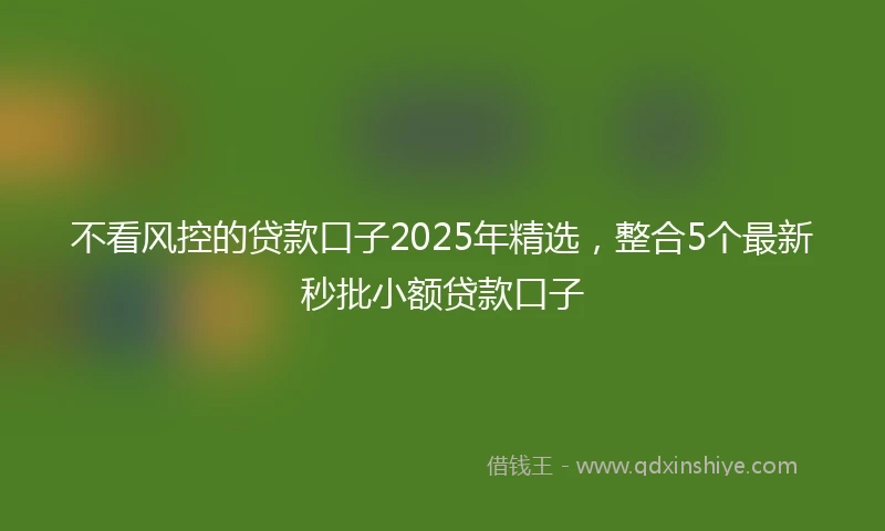 不看风控的贷款口子2025年精选，整合5个最新秒批小额贷款口子
