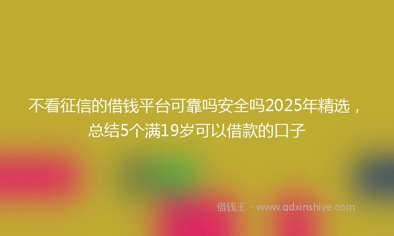 不看征信的借钱平台可靠吗安全吗2025年精选，总结5个满19岁可以借款的口子
