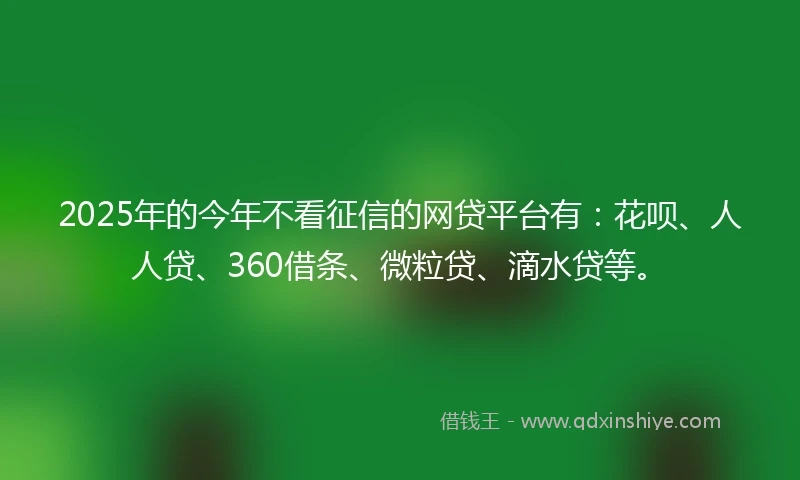2025年的今年不看征信的网贷平台有：花呗、人人贷、360借条、微粒贷、滴水贷等。