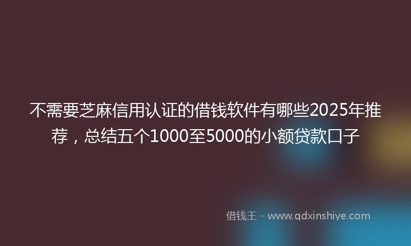 不需要芝麻信用认证的借钱软件有哪些2025年推荐，总结五个1000至5000的小额贷款口子