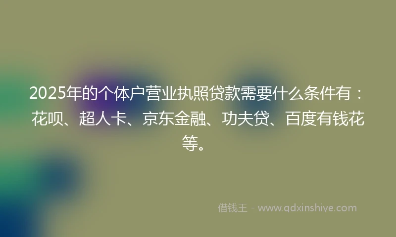 2025年的个体户营业执照贷款需要什么条件有：花呗、超人卡、京东金融、功夫贷、百度有钱花等。