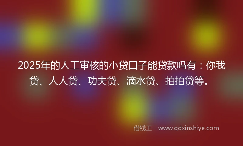 2025年的人工审核的小贷口子能贷款吗有：你我贷、人人贷、功夫贷、滴水贷、拍拍贷等。