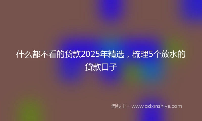 什么都不看的贷款2025年精选，梳理5个放水的贷款口子