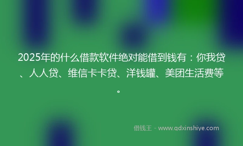2025年的什么借款软件绝对能借到钱有：你我贷、人人贷、维信卡卡贷、洋钱罐、美团生活费等。
