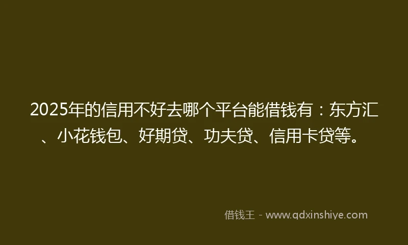 2025年的信用不好去哪个平台能借钱有：东方汇、小花钱包、好期贷、功夫贷、信用卡贷等。