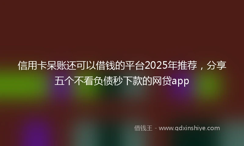 信用卡呆账还可以借钱的平台2025年推荐，分享五个不看负债秒下款的网贷app